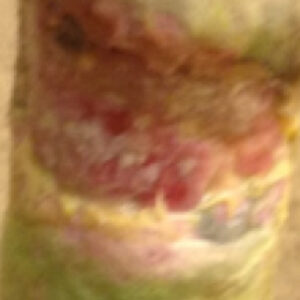 Helende sår på hestebeinet